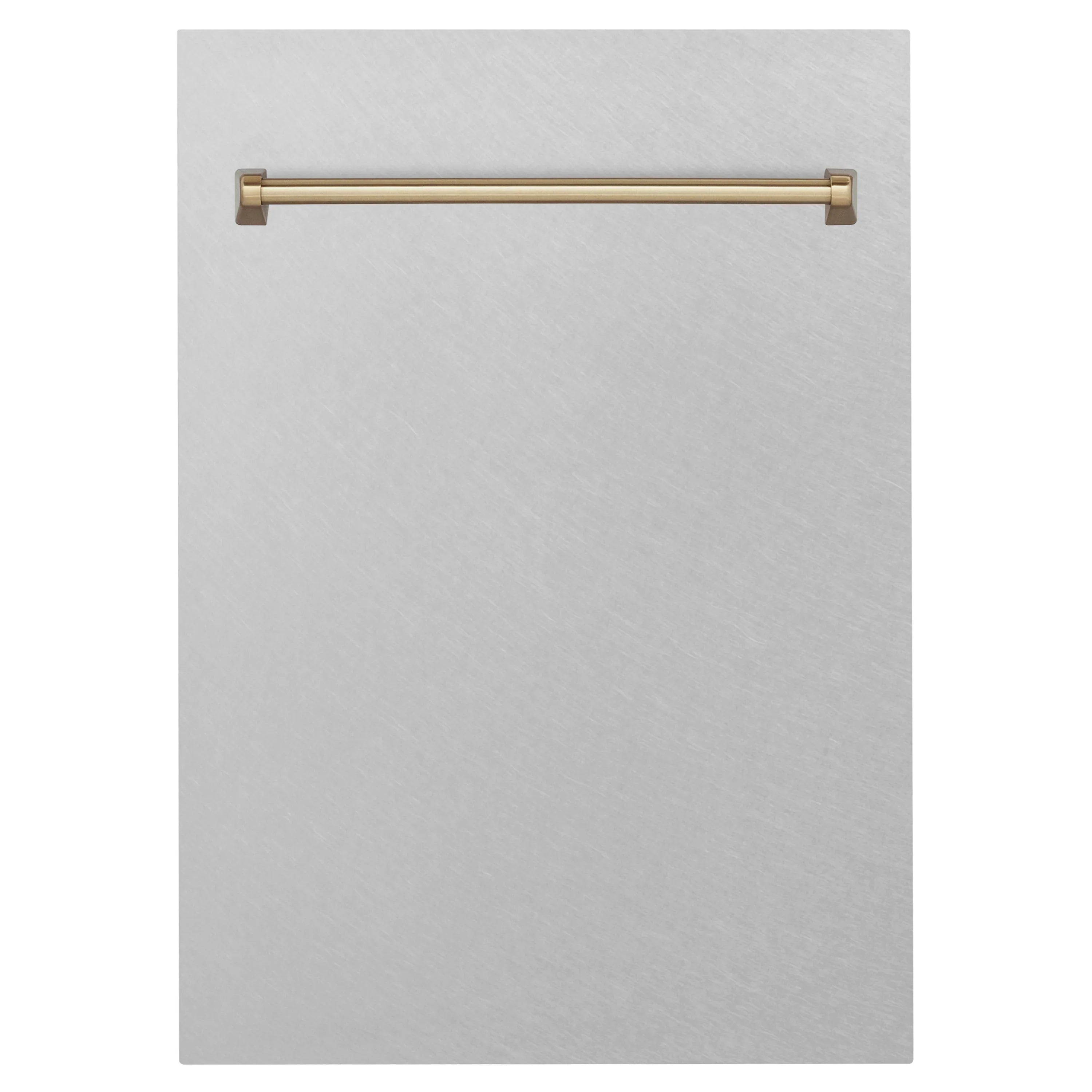ZLINE 18" Autograph Edition Tallac Dishwasher Panel in DuraSnow® Stainless Steel with Accent Handle (DPVZ-SN-18)