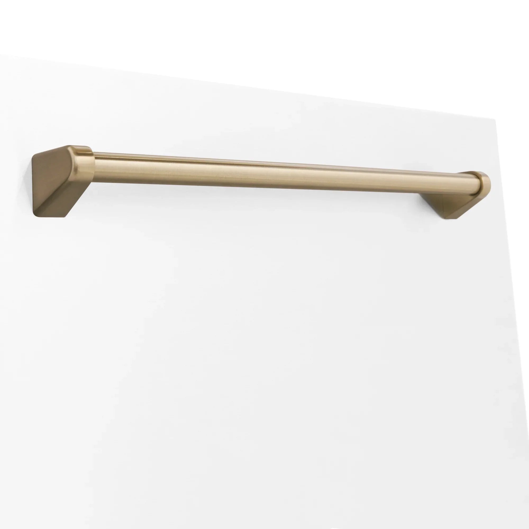 ZLINE 24" Autograph Edition Monument Dishwasher Panel in White Matte (DPMTZ-WM-24)
