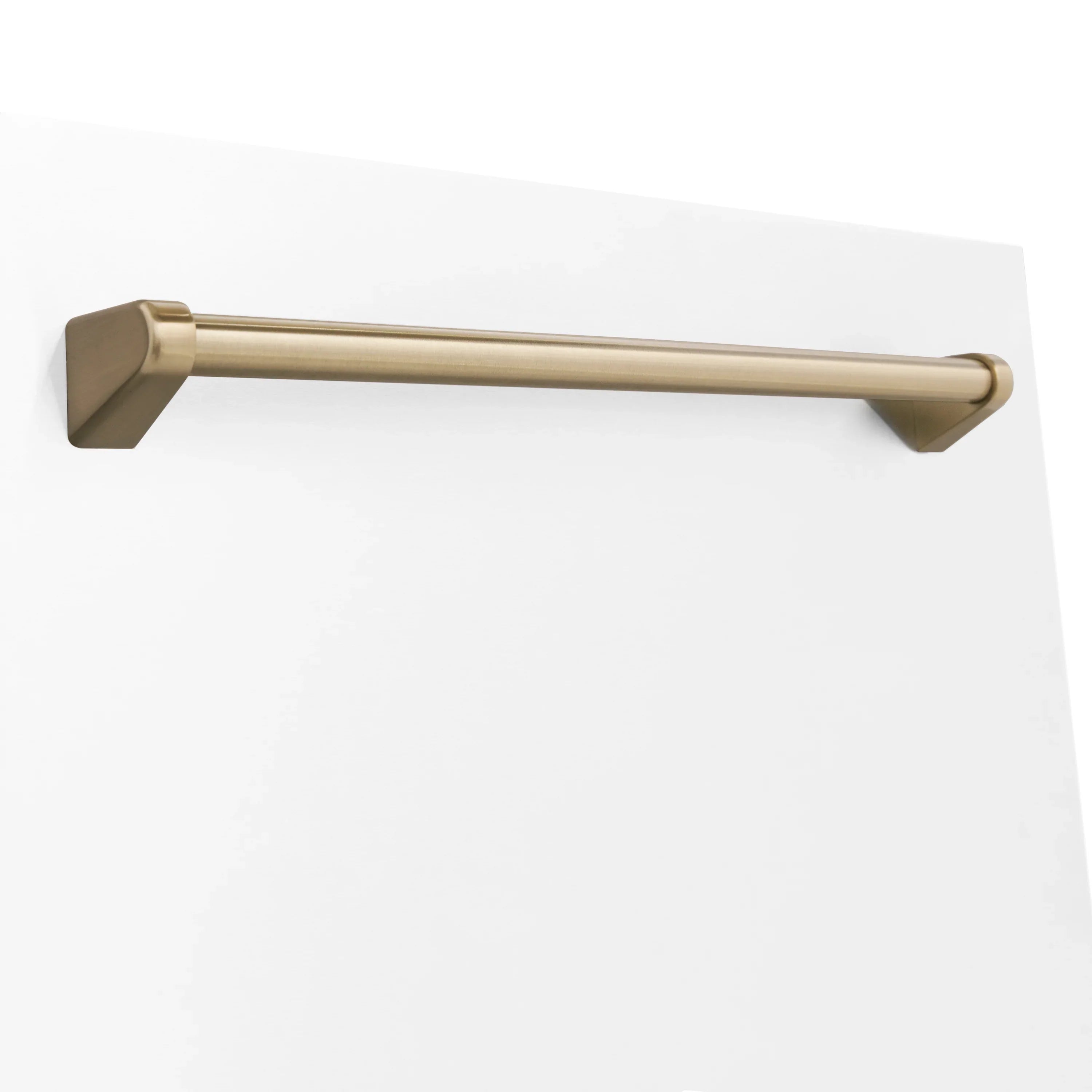 ZLINE 24" Autograph Edition Tallac Dishwasher Panel in White Matte with Accent Handle (DPVZ-WM-24)